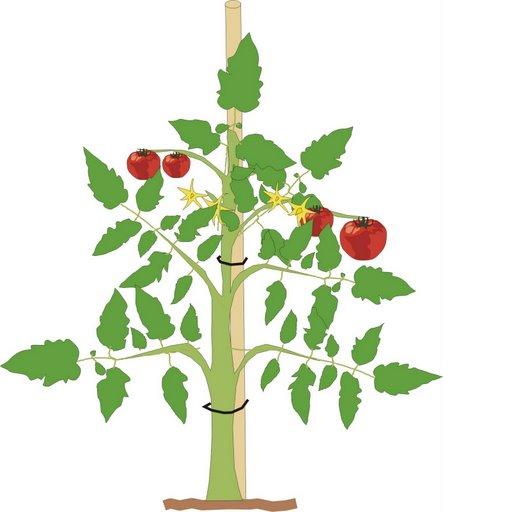 Growing Crops Cliparts