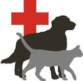 Veterinary Assistant Cliparts