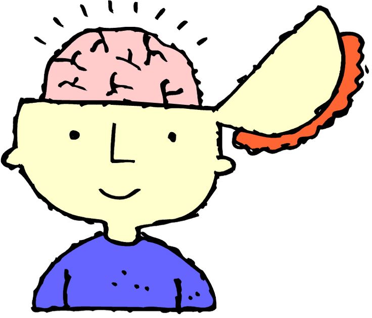Our amazing brains