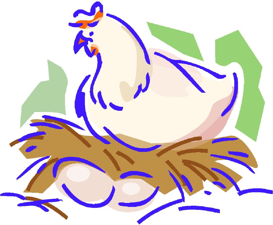 26+ Feed Chickens Clipart