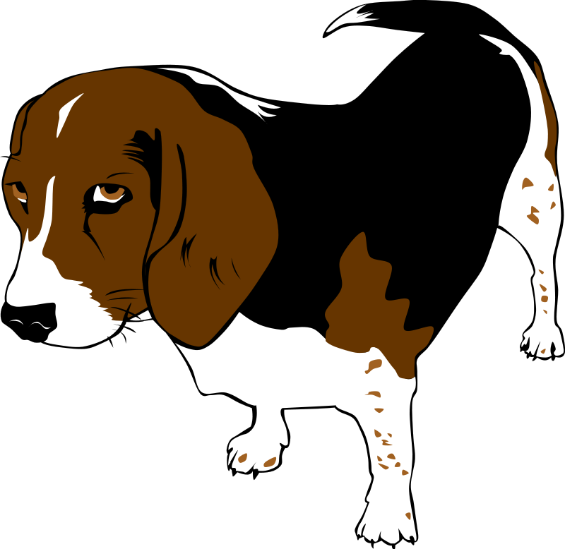 Animal Cliparts Transparent