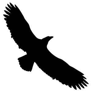 Silhouette Of Eagle Flying