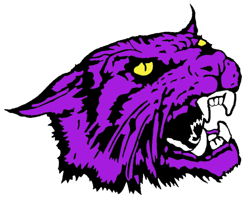 Free Wildcat Clipart