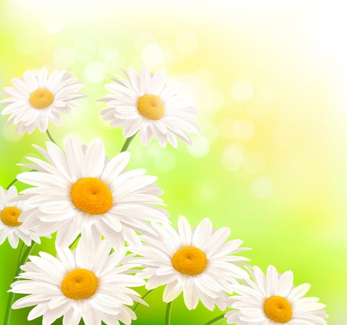 Summer Backgrounds