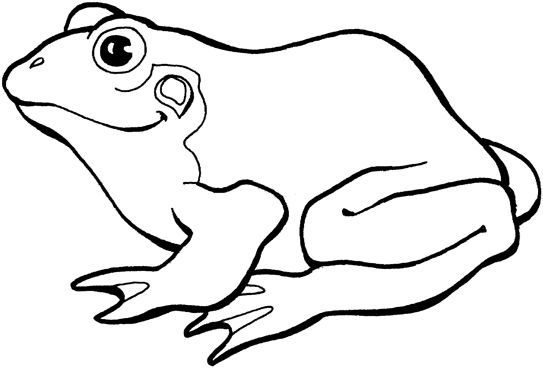 Frog black and white frog clip art black and white free clipart