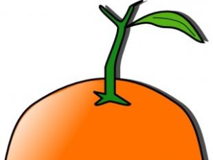 Orange Thumb Cliparts