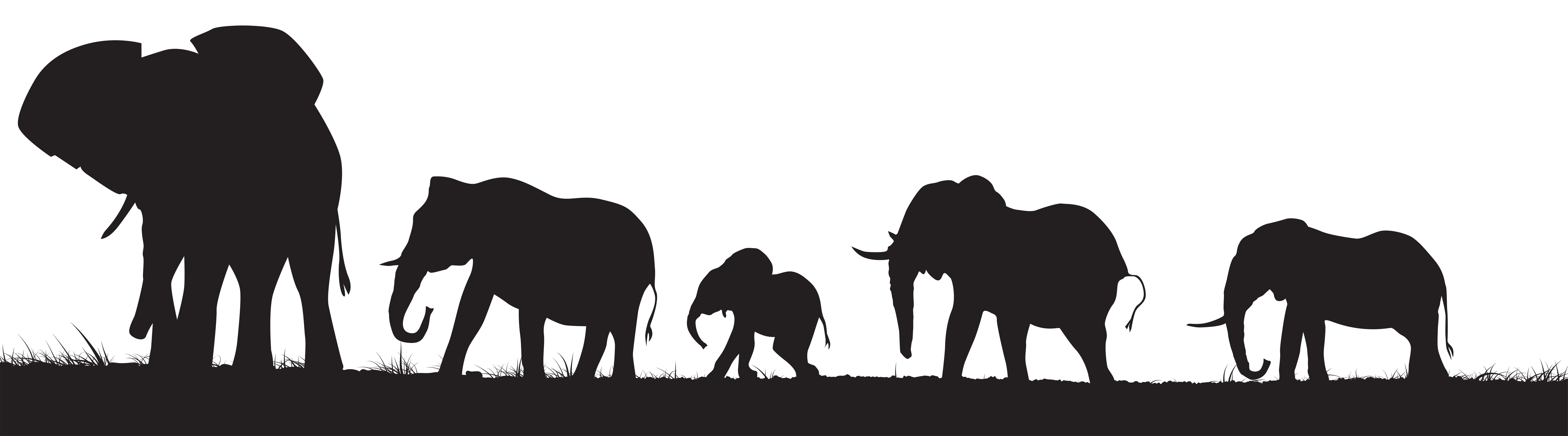 Elephants Silhouette PNG Clip Art Image 