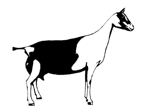 Goat Clip Art