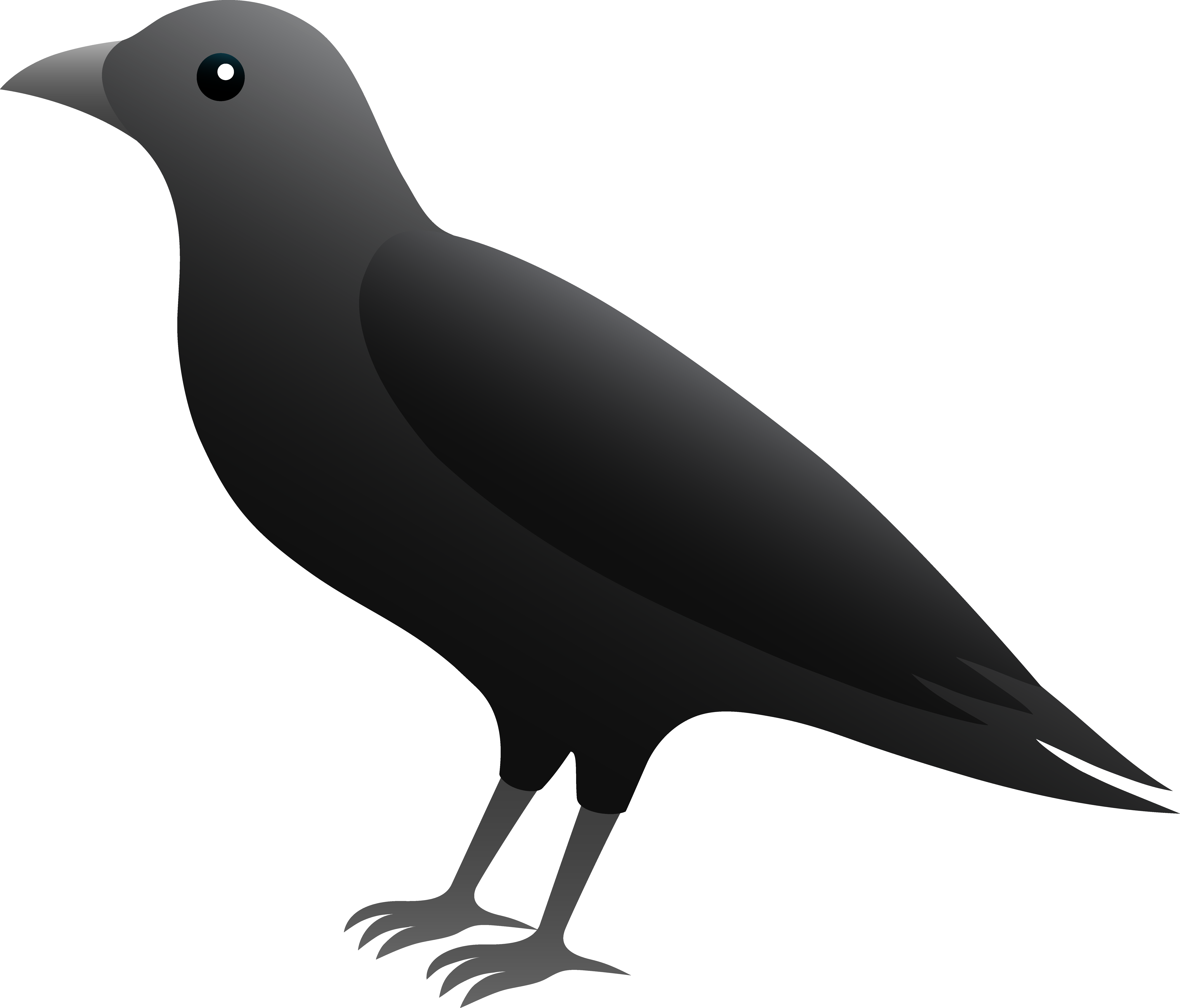 Crow bird clipart
