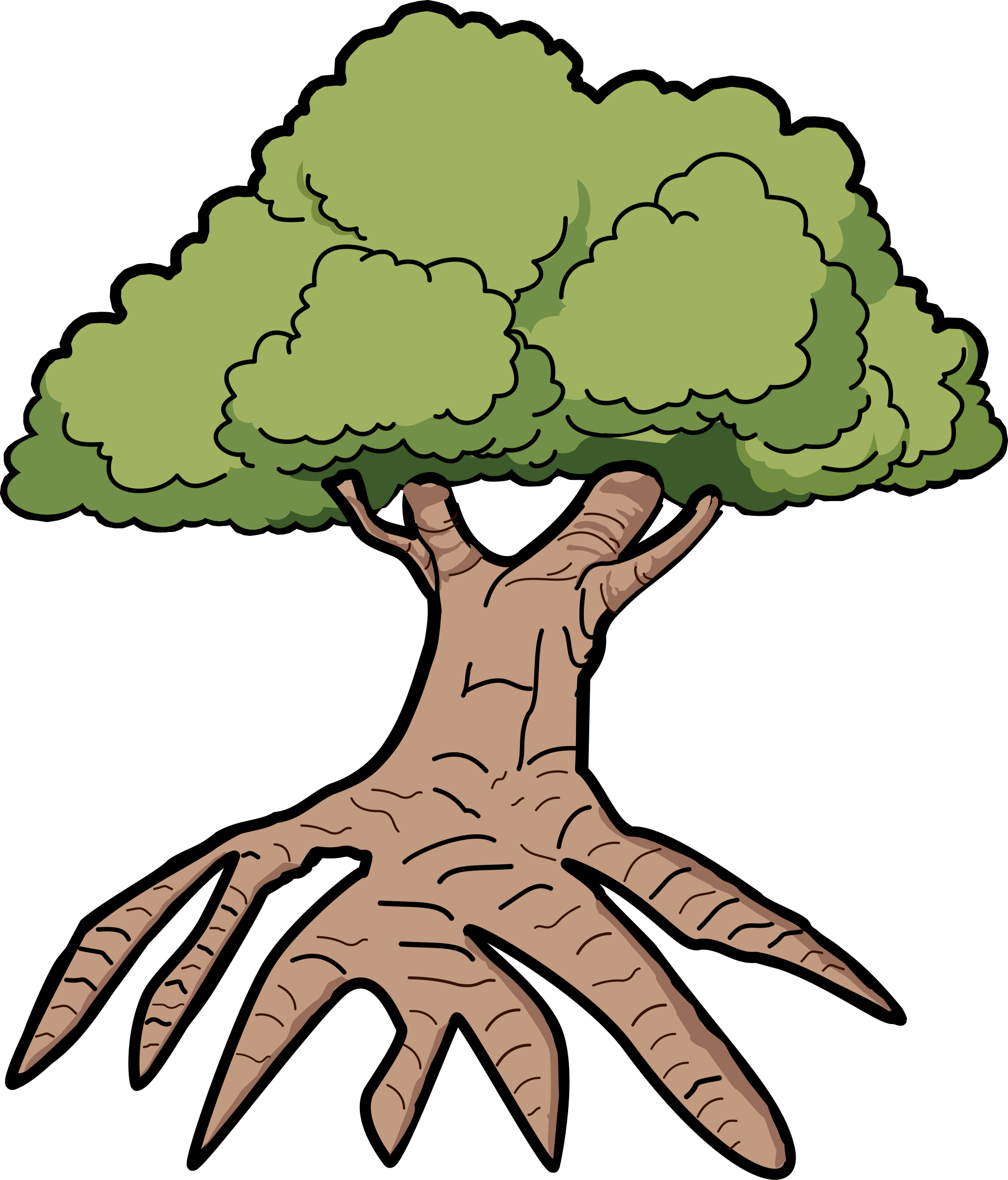 Tree Roots Image