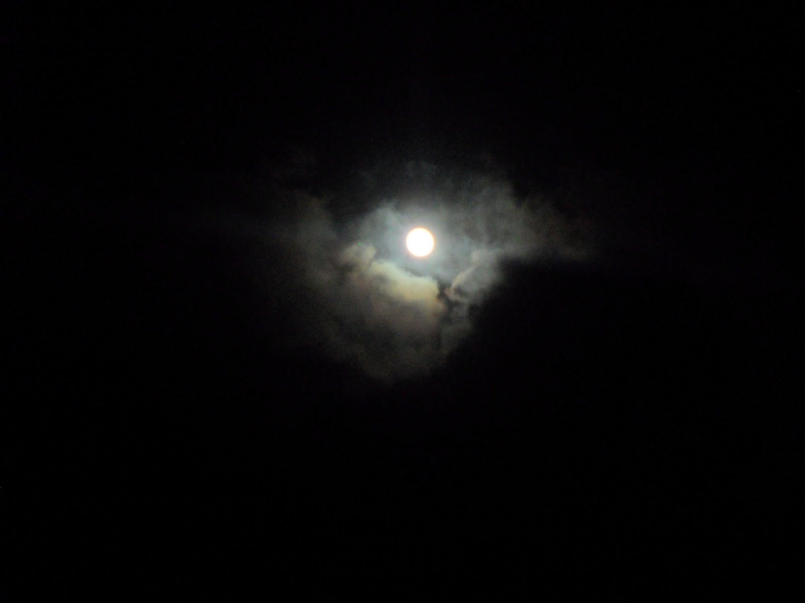 Our B.V.I. Adventure: Day 236: Da Tree Men Headline Full Moon Party!