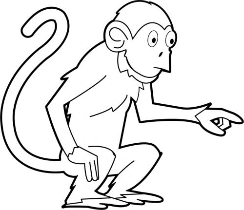 Macaco Albino Insano Clipart De Stock, Royalty-Free