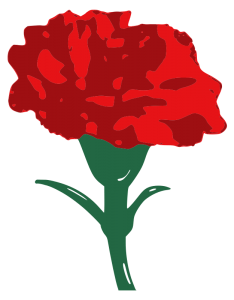 Carnation Flower Clip Art Download
