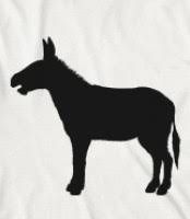 SILHOUETTE OF DONKEY