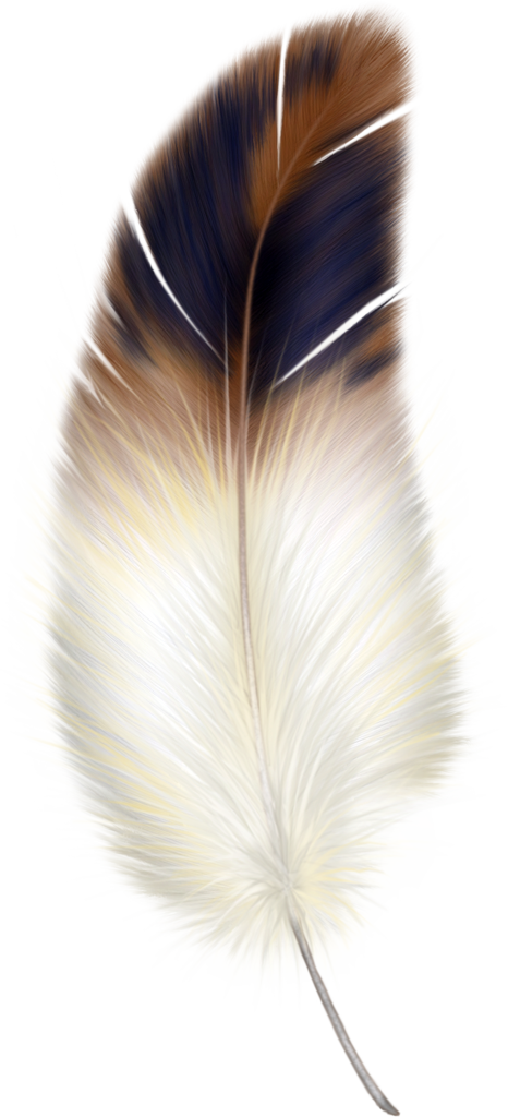 Free feather clip art 3 