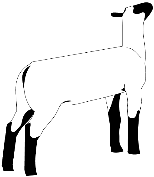 Silhouette Of A Lamb