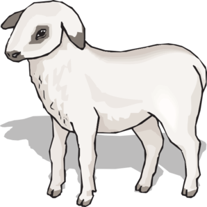 Lamb clipart 6