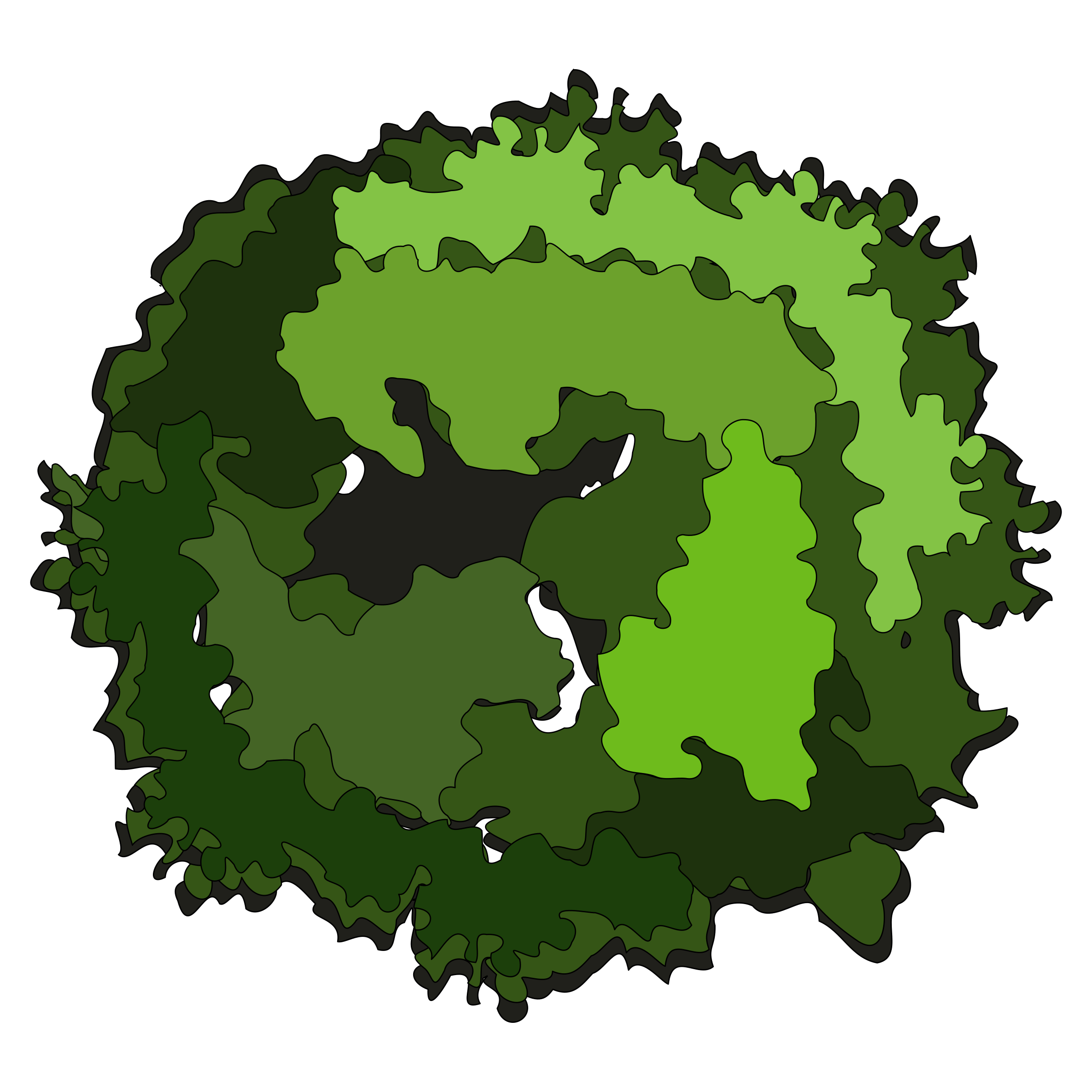 Tree Top View Vector Png