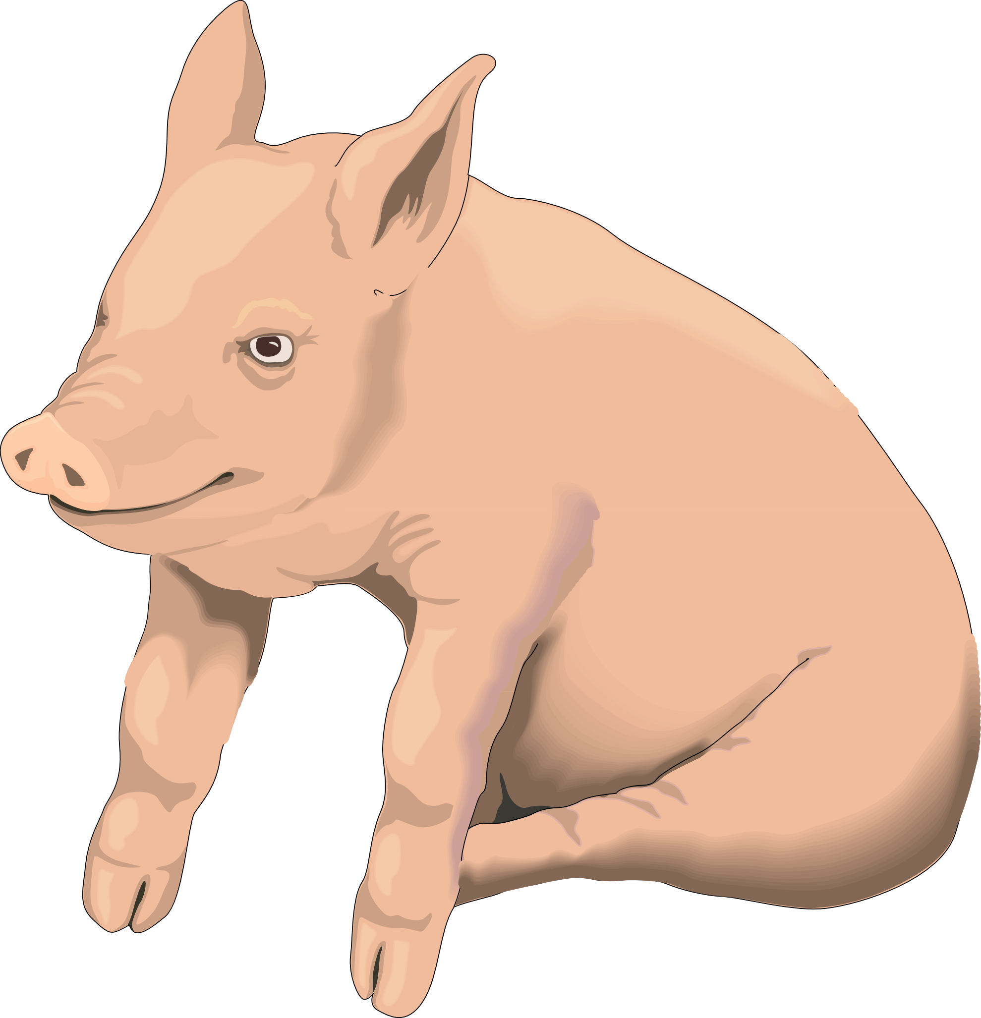 Pig clipart transparent