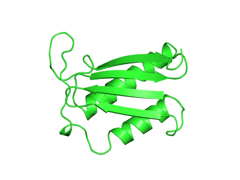Macrophage Cliparts