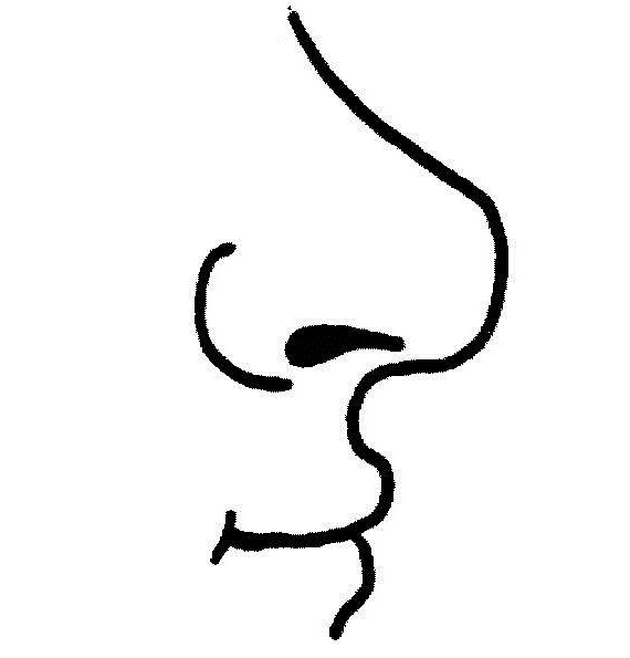 Long Nose Cliparts