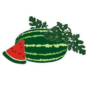 Melons Cliparts