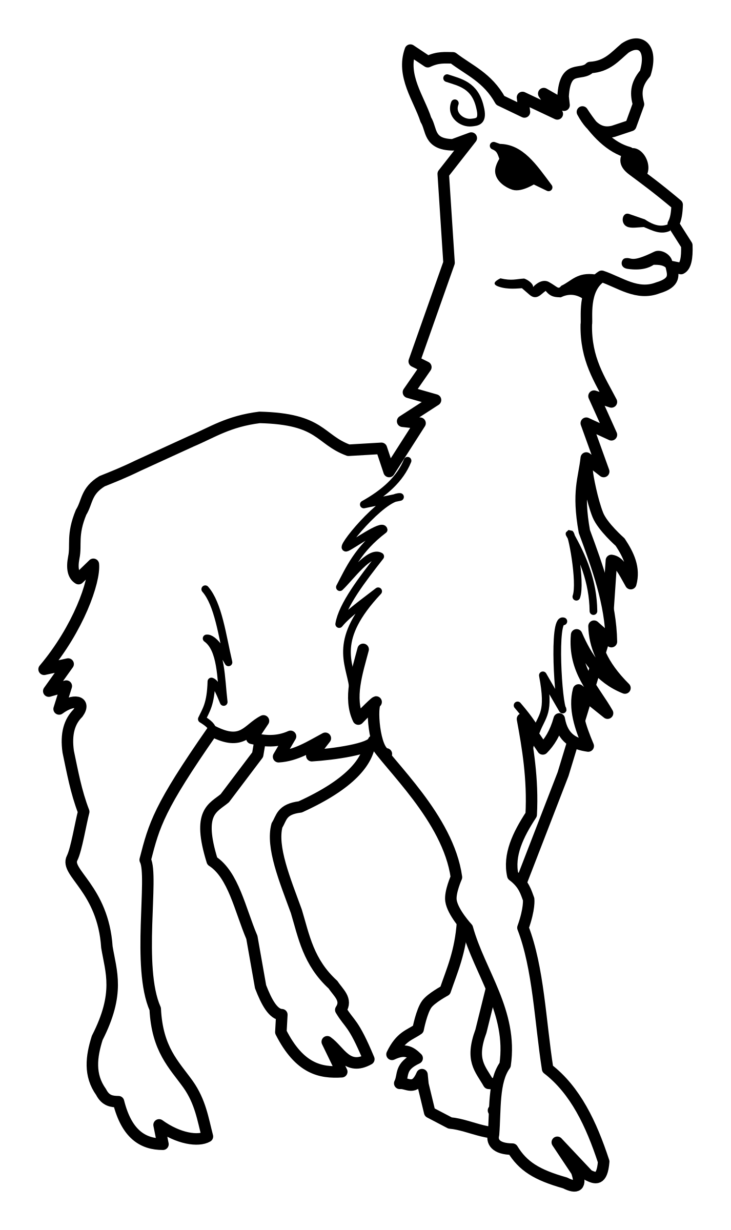 llama-clipart-transparent-background-clip-art-library