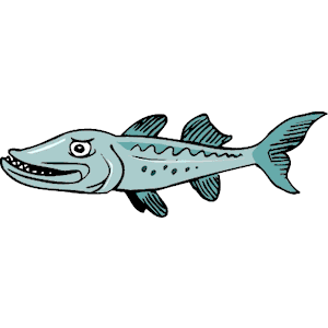 barracuda cartoon