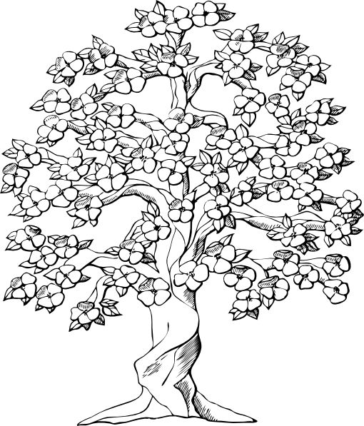 Tree Clipart