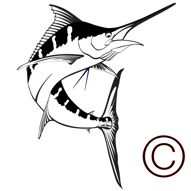Marlin clipart black and white