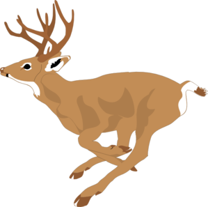 Deer Running Fast Clip Art at Clker
