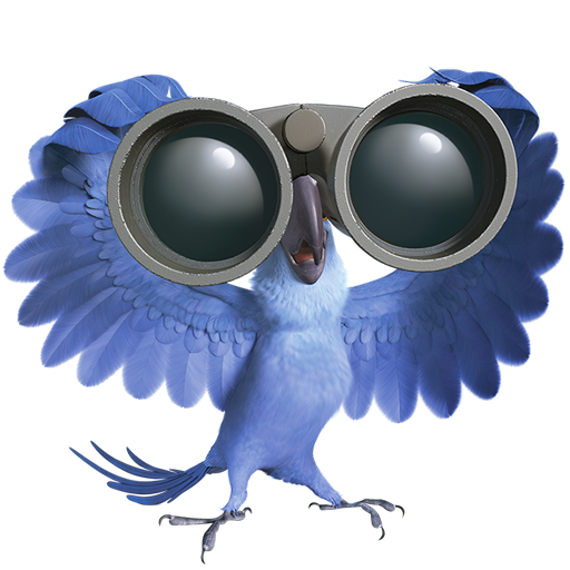 Free Rio 2 Cliparts Download Free Clip Art Free Clip Art On Clipart Library