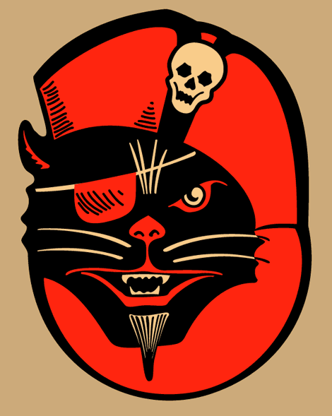 Pirate cat