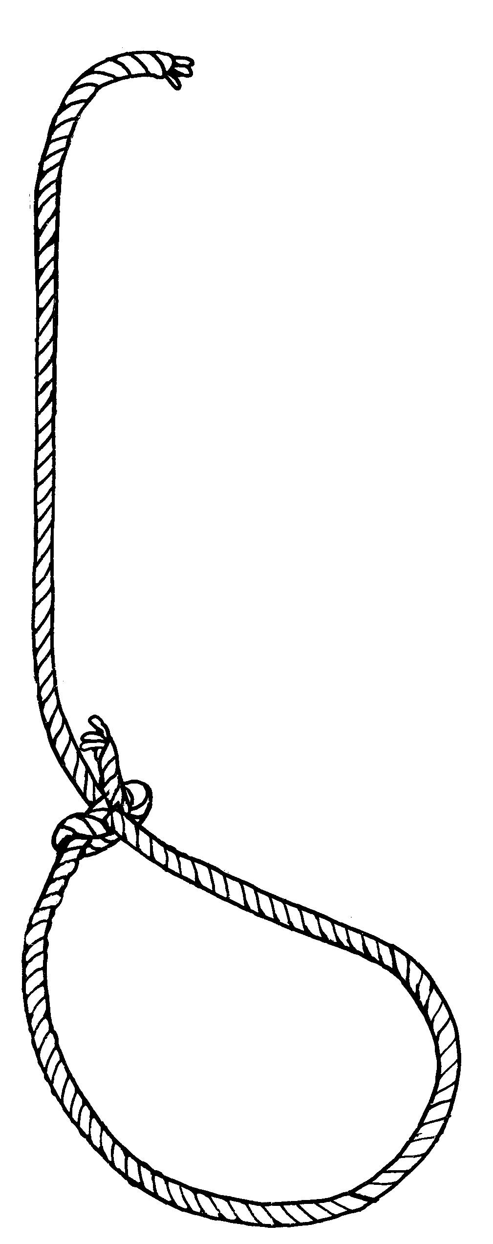 Lasso Clipart