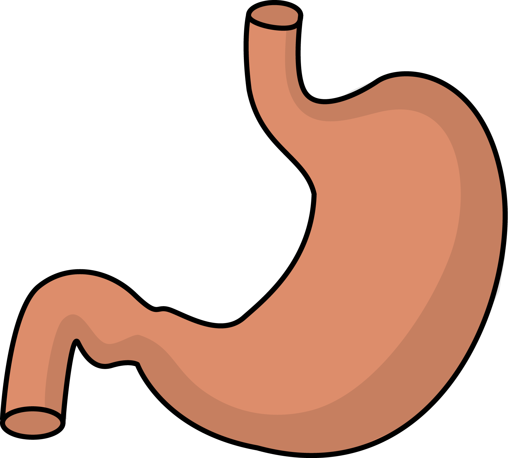 Clip art stomach