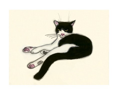 Cat Drawing Cat Print Tuxedo cat 4 for 3 SALE by matouenpeluche