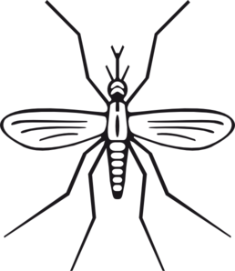 Mosquito Clipart
