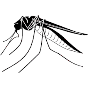 Best Mosquito Clipart 