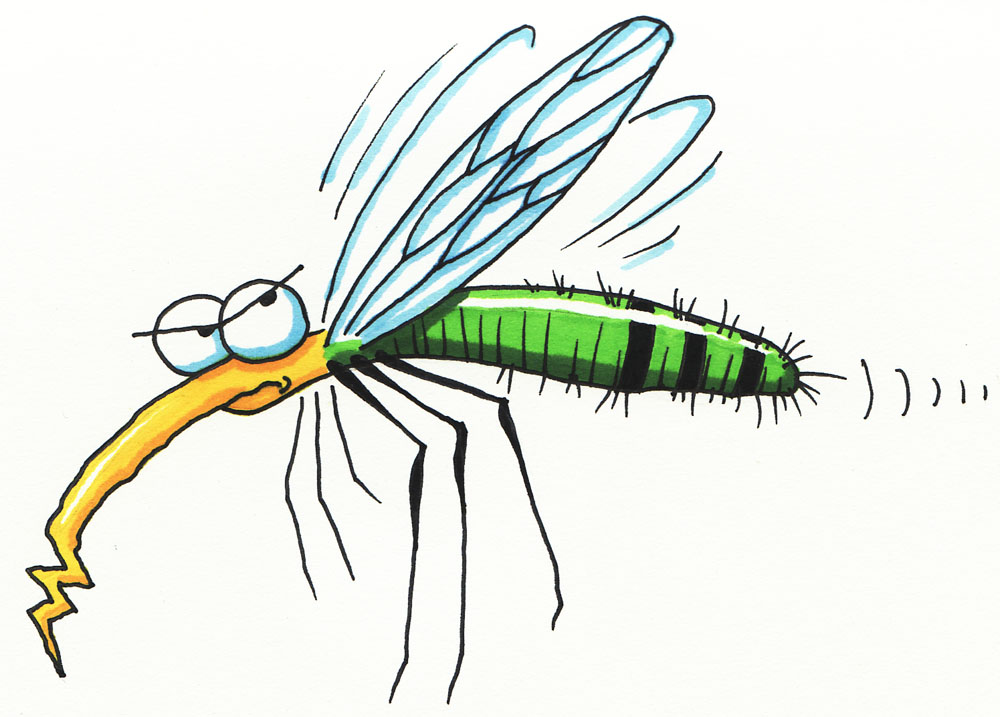 Mosquito Clip Art Image