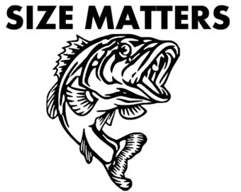 Striped Bass Cliparts