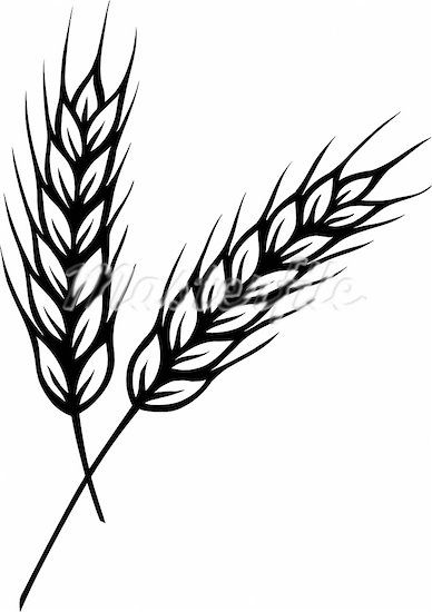 Weed Grass Cliparts