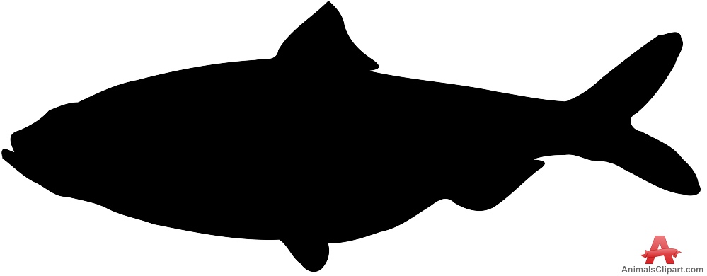 Big Fish Silhouette