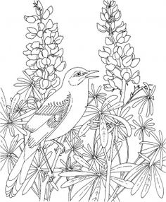 flower Page Printable Coloring Sheets