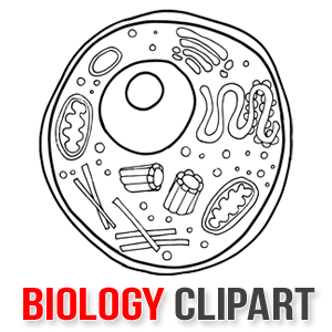 Biology Book Cliparts