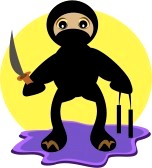 attacker : Ninja Moon