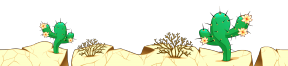 Desert Ground with Cactuses PNG Clipart Picture