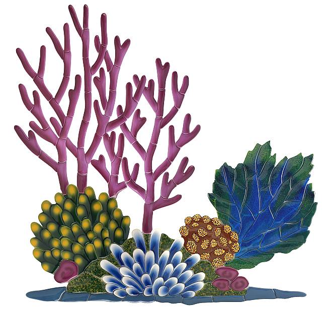 Coral Reef Background Clipart Church