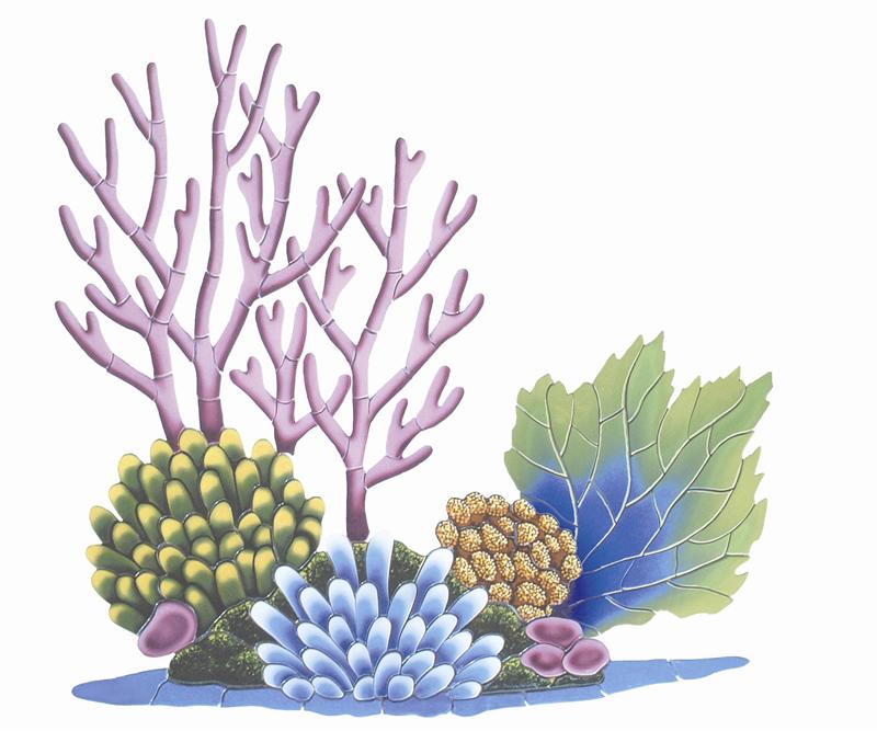 coral reef clipart png - Clip Art Library