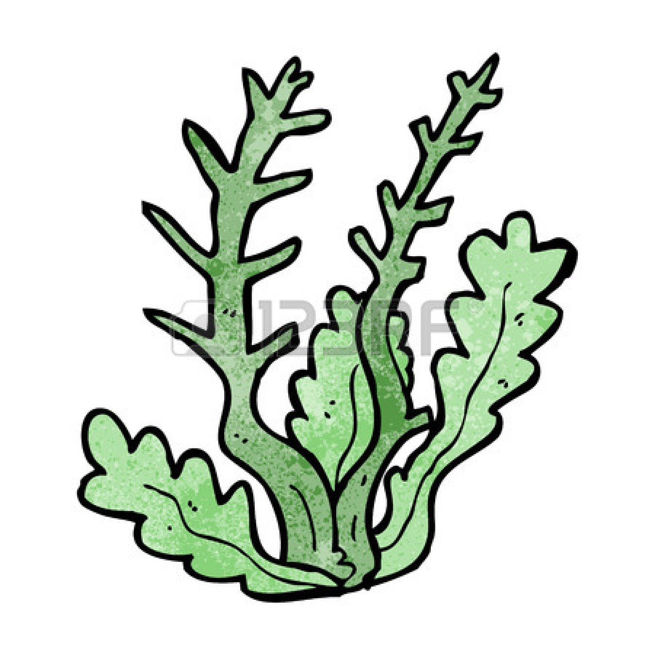 how to draw cartoon coral