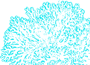 Turquoise Coral Reef Clip Art at Clker